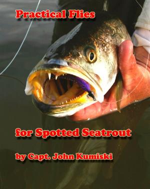 Book cover of Practical Flies for Spotted Seatrout