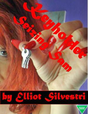 Cover of the book Keyholder: Seizing Sam by Elliot Silvestri, Grace Vilmont