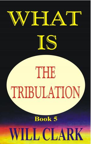 Book cover of What is the Tribulation?