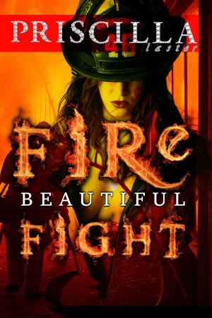 Cover of the book Beautiful Firefight by Priscilla Laster