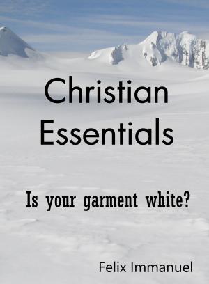 Cover of the book Christian Essentials by Dr. Julianne Marson