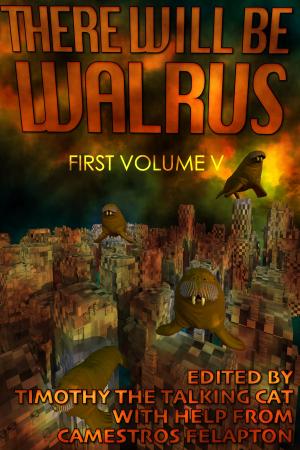 Cover of the book There Will Be Walrus: First Volume V by Danielle Broussard
