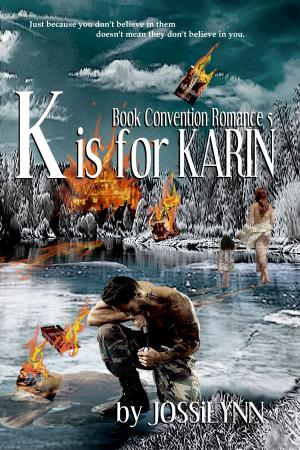Book cover of K is for Karin