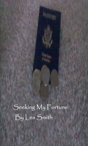 Book cover of Seeking My Fortune