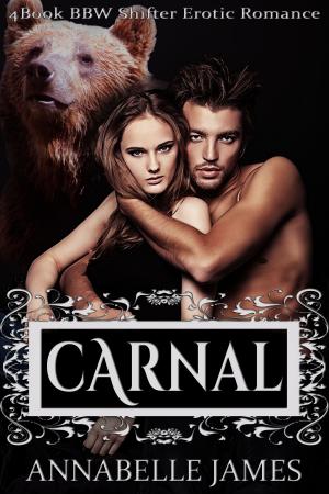 Cover of the book Carnal by Sable Duval
