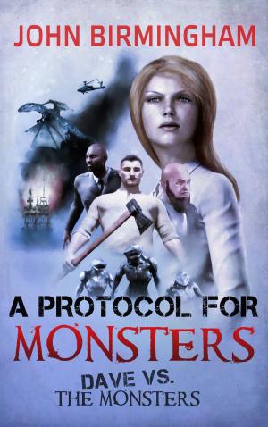 Cover of the book A Protocol for Monsters by Jay El Mitchell