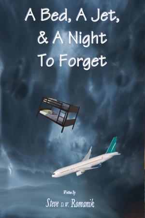 Cover of the book A Bed, a Jet and a Night to Forget by L. M. Hawke