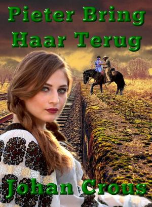 Cover of the book Pieter Bring Haar Terug by Renée Dunan
