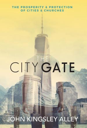 Book cover of The City Gate
