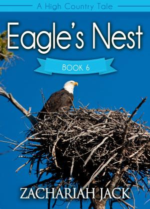 bigCover of the book A High Country Tale: The Sixth Tale-- Eagle's Nest, A Stickshift Saga by 