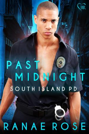 Book cover of Past Midnight