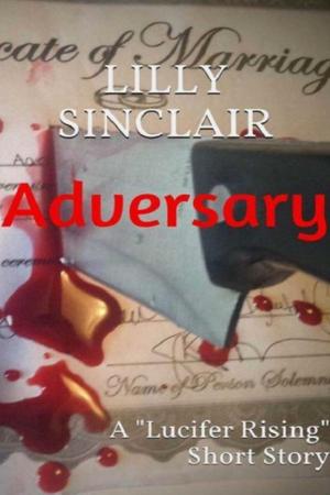 Cover of the book Adversary by S.C. Wynne