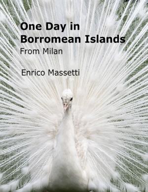 Cover of the book One Day in Borromean Islands from Milan by Janet Smith