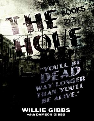 Cover of the book The Hole: Books 2 & 3 by Andrew May