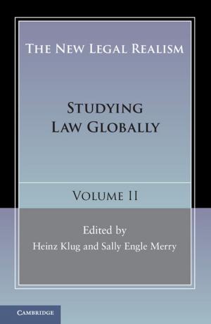 Cover of the book The New Legal Realism: Volume 2 by Joshua D. Zimmerman