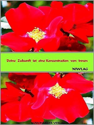 Cover of the book Deine Zukunft ist eine Konzentration von innen by Niwlag