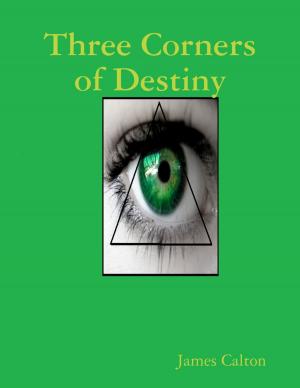 Cover of the book Three Corners of Destiny by Bill Stonehem