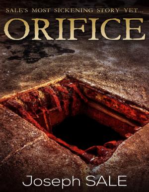Cover of the book Orifice by I.S. Hart