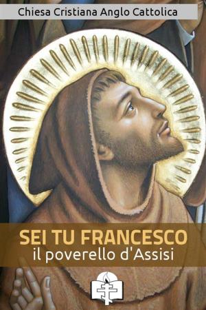 Cover of the book Sei tu Francesco il poverello by Sant'Agostino