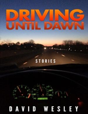 Cover of the book Driving Until Dawn: Stories by Karen Money Williams