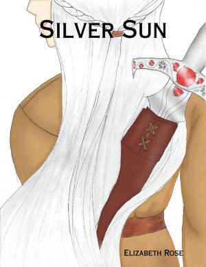 Cover of the book Silver Sun by Jonathan E. Ledin
