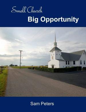 Cover of the book Small Church Big Opportunity by Ted Harrington