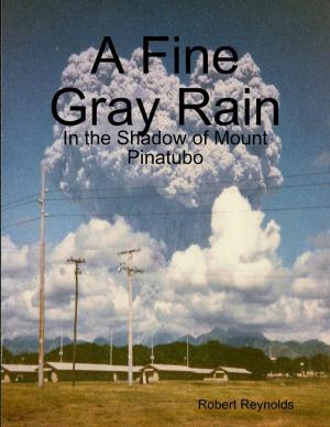 Book cover of A Fine Gray Rain: In the Shadow of Mount Pinatubo