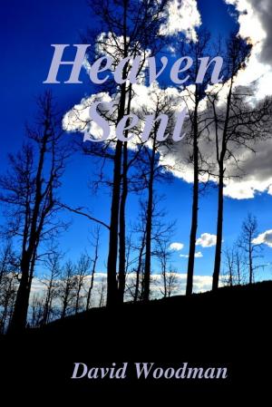 Cover of the book Heaven's Scent by Tudorbeth