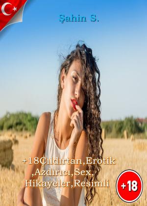 Cover of the book +18 Çıldırtan,Erotik,Azdırıcı,Sex,Hikayeler by Elizabeth Stacy