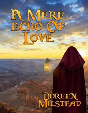 Cover of the book A Mere Echo of Love by Tony Phillips