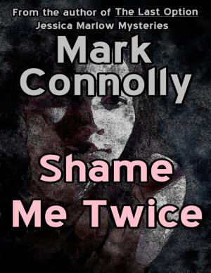 Cover of the book Shame Me Twice by T.J. Lockwood