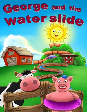 Cover of the book George and the Water Slide by Stuart Pidd