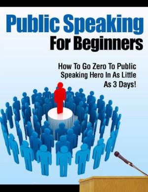 Cover of the book Public Speaking for Beginners by Kevin Spaulding