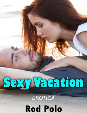 Cover of the book Erotica: Sexy Vacation by Dirk Jan Barreveld, editor