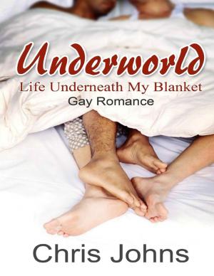 Cover of the book Underworld by RC Ellis