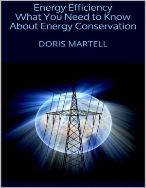 Cover of the book Energy Efficiency: What You Need to Know About Energy Conservation by Susan Kramer