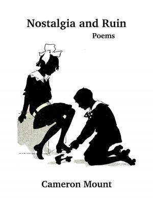 Cover of the book Nostalgia and Ruin by Joel Dettweiler