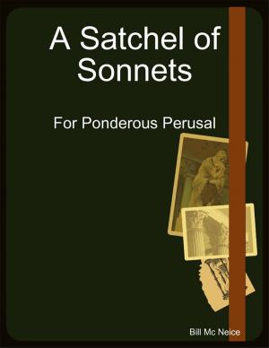 Cover of the book A Satchel of Sonnets by Kimberly Stewart