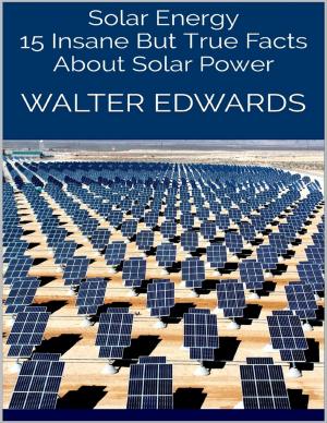 Cover of the book Solar Energy: 15 Insane But True Facts About Solar Power by Jonathan Edward Feinstein
