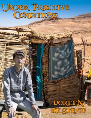 Cover of the book Under Primitive Conditions by Ed SJC Park