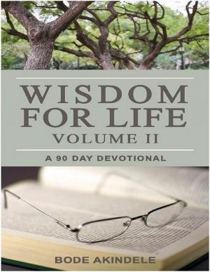 Cover of the book Wisdom for Life Vol. 2 by Dan Jones