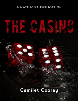 Cover of the book The Casino by JW Luff