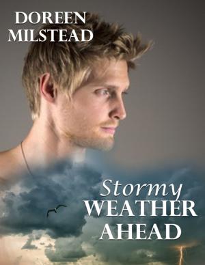 Cover of the book Stormy Weather Ahead by D. E. Herweyer