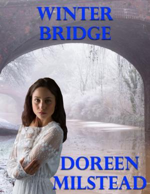 Cover of the book Winter Bridge by Robert Hoffman