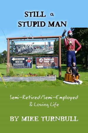Book cover of Still a Stupid Man