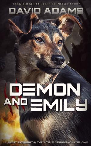 Cover of the book Demon and Emily by David Adams