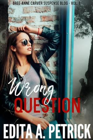 Cover of the book Wrong Question by Edita A. Petrick