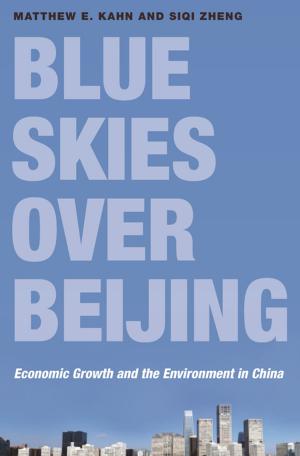 Cover of the book Blue Skies over Beijing by Pamela Matson, Krister Andersson, William C. Clark