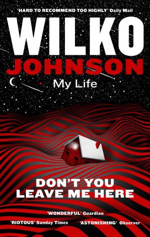 Cover of the book Don't You Leave Me Here by Jon E. Lewis