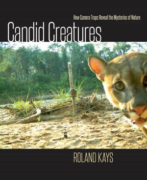 Book cover of Candid Creatures